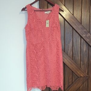 Loft Peach Crochet Sleveless Dress - 6 Petite